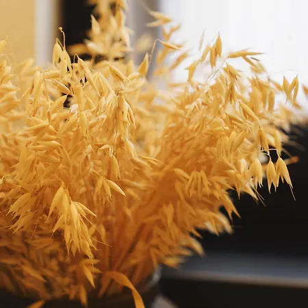 хатинка в горах